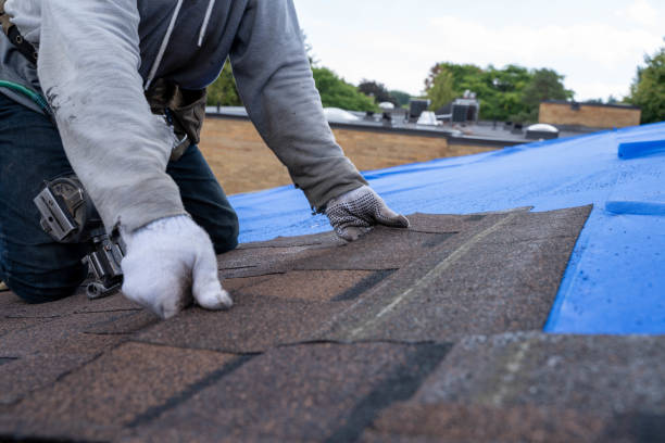 Best Roof Moss and Algae Removal  in Woodcreek, TX